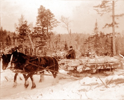 Logging Picture 4
