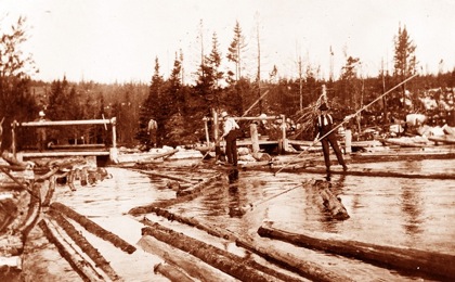 Logging Picture 5