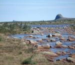 Gaff Topsail 2007