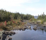 Victoria River Fall 2004