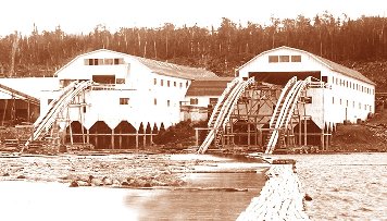 Logging Picture 1