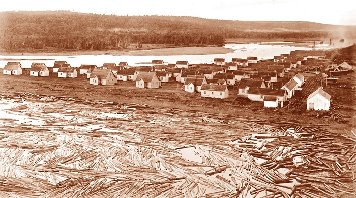 Logging Picture 3